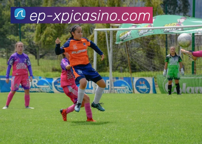 多媒体互动体验